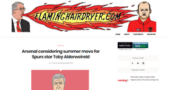 Desktop Screenshot of flaminghairdryer.com